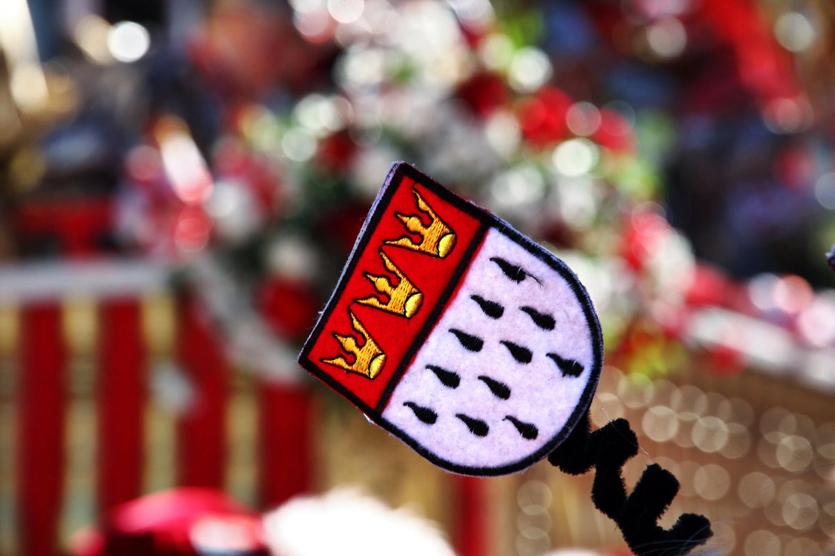 Ringelshirts im Kölner Karneval